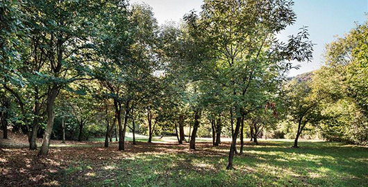 filiereproduttive-marroni-bannersticky-02-xl