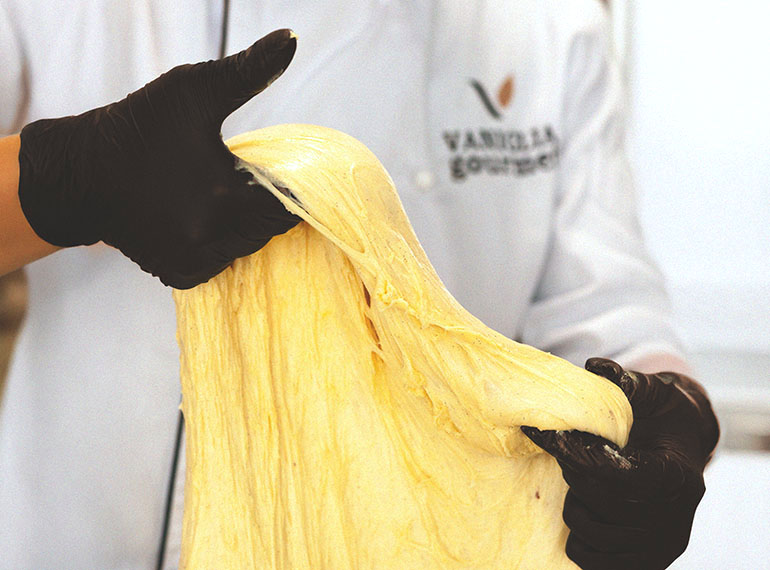 schedaprodotto-vaniglia-tab-03-xl